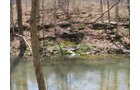 Property photo 32 - 137 Acres in 2 Tracts - 64 Tillable Acres, Potential Building Sites, Hunting